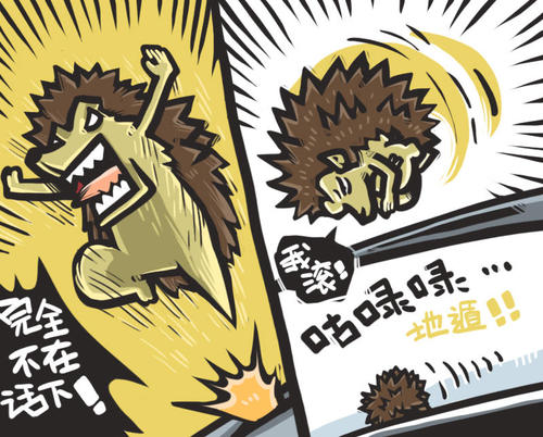 我的小刺猬邻居