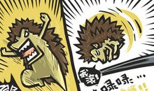 我的小刺猬邻居