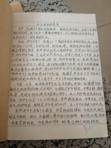 给自己一缕阳光作文600字