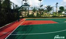 我们社区的篮球场