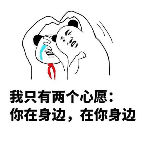 你在这里