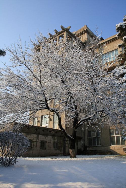 下雪后的校园