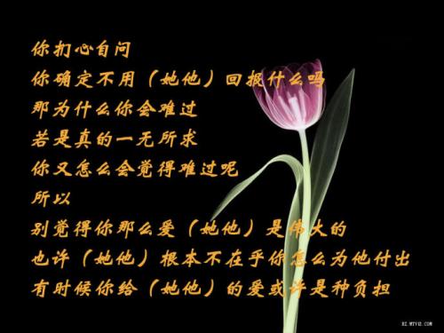 放弃也是一种态度