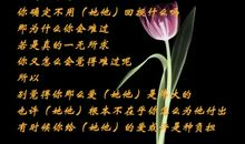 放弃也是种态度