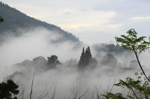 美丽的景色，在雾中