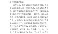 我喜欢的节日作文