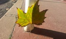 时间向前走，我们不回头