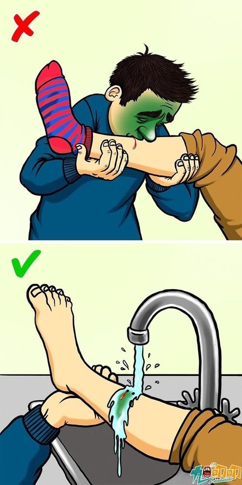 动物自助