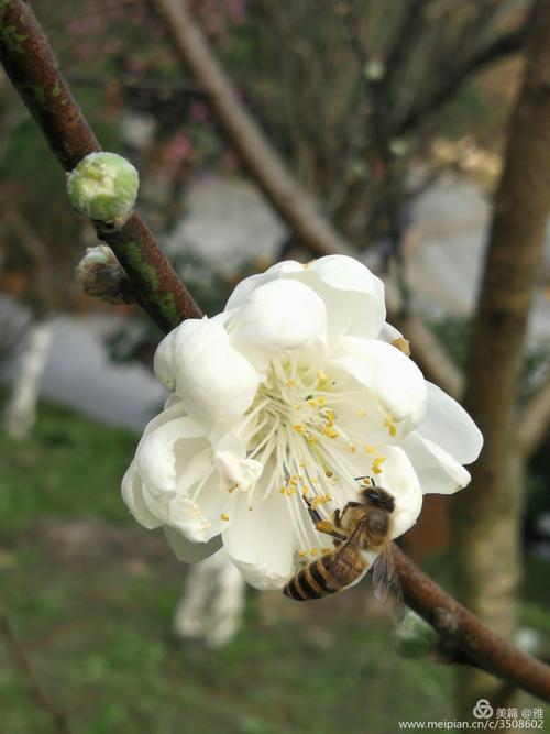 我在春天停下来