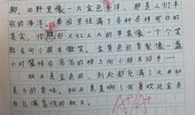 我眼中的色彩作文600字