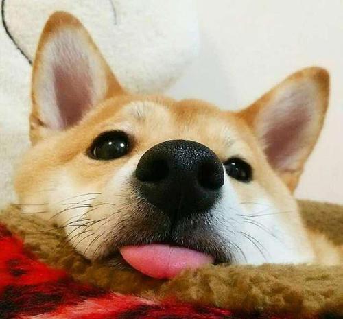 爱笑的人