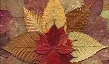 珍惜自然的馈赠