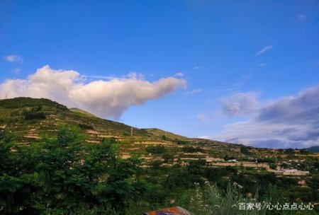 转身是一片阳光