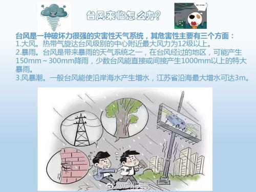 台风天气