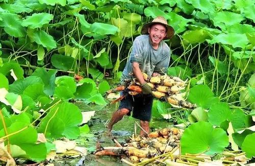 生活是真实的，美好的，美丽的