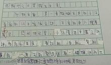 乡村美景的作文