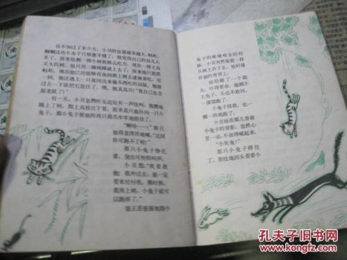 关于“小白流浪”的思考