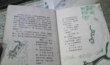 《小贝流浪记》观后感