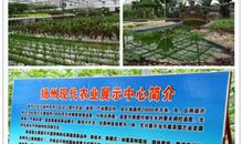 西江生态园活动