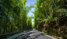 一路风景，一路有你