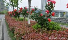 共同守护美丽的家园