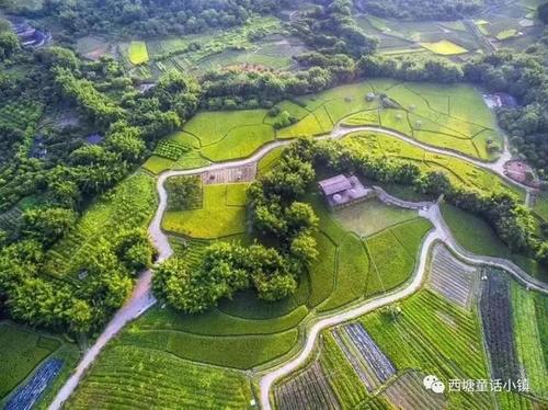 耕作的快乐