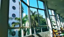 站在窗口看风景