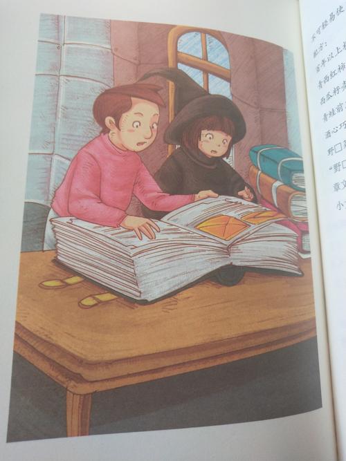 关于阅读《女巫》的思考