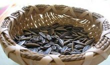 小小瓜子现文明