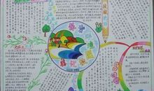 爱护生态环境从小做起