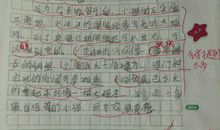 我最想养的小动物作文二年级