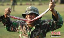 有趣的生存训练