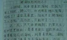 我学会了骑自行车作文400字四年级