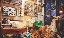 站在逆时光的街角