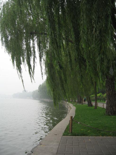 在雨天旅行，更多的爱