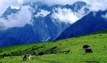 游丽江玉龙雪山