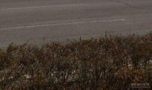 上那一座陌生的楼