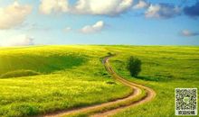 阳光校园是我成长的好伙伴