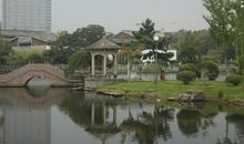 美丽的月湖公园