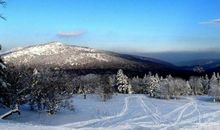从未见过雪的南方伙伴