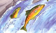 乐于分享的爷爷