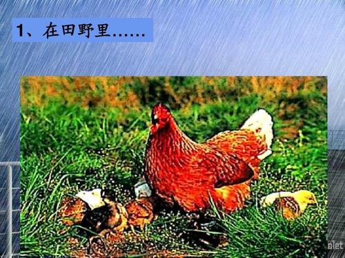 我母亲口中的乡村