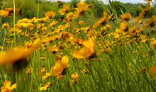 生活处处是诗意