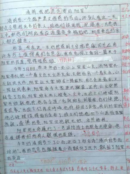给祖国的400字信