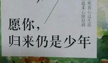 愿你归来仍是少年读后感