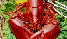 臭也是一种美味