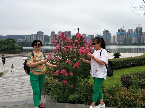游览梅溪湖