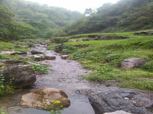 家门前的山