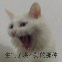 掉到我家