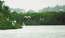夏风·童年·乡村小溪